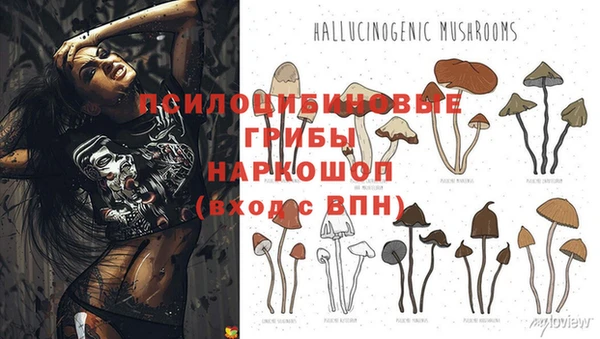 кокаин VHQ Алексеевка