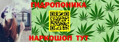 стафф Новозыбков