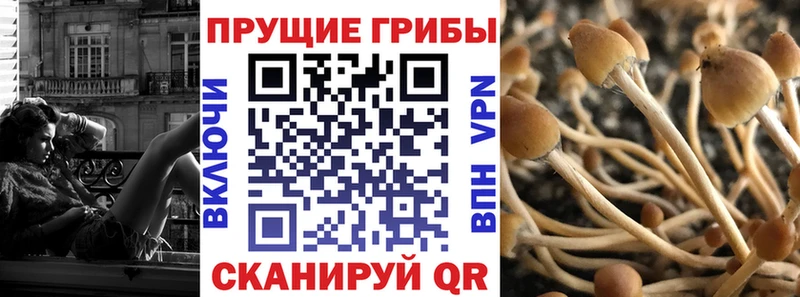 мориарти клад  Феодосия  Псилоцибиновые грибы мицелий 