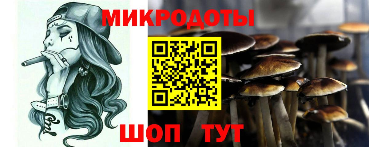 дарнет шоп  Псилоцибиновые грибы GOLDEN TEACHER  Вход с VPN  Феодосия 